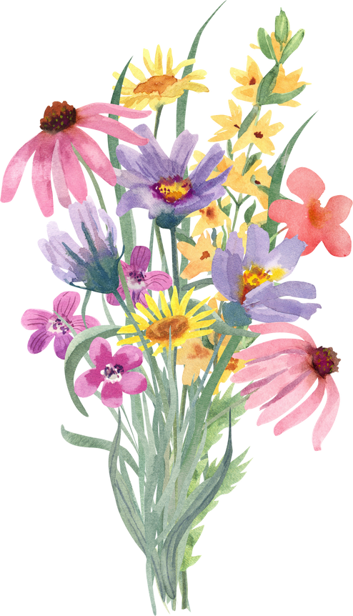 Bouquet of  wildflowers watercolor illustration