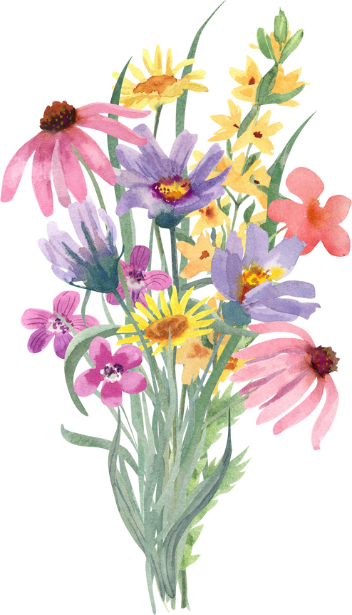 Bouquet of  wildflowers watercolor illustration