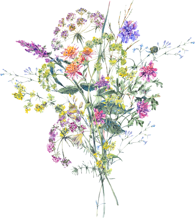 Watercolor Wildflowers Floral Bouquet, Vintage Botanical