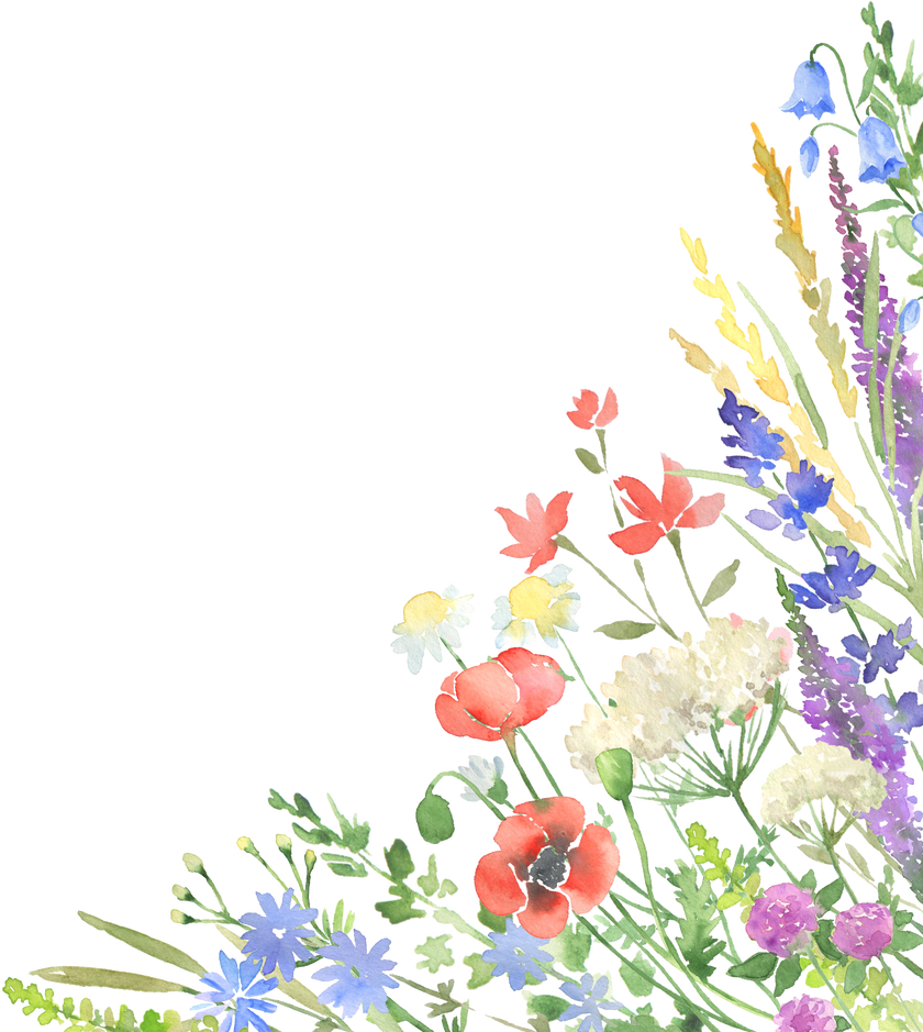 Watercolor Wildflowers Design